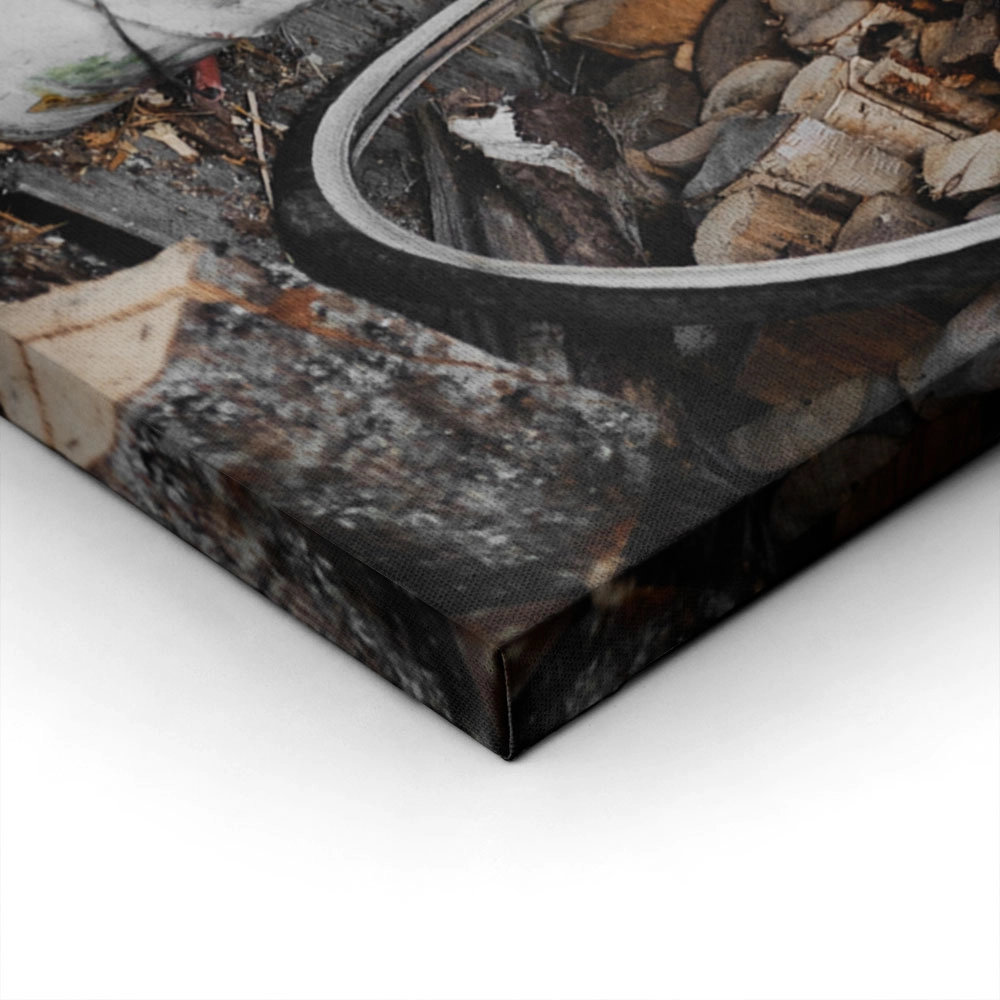 Πίνακας σε Καμβά RUSTIC FARMHOUSE BUCKET