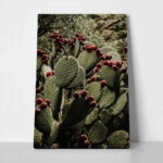 Πίνακας σε Καμβά RUSTIC FARMHOUSE CACTUS 2