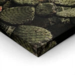 Πίνακας σε Καμβά RUSTIC FARMHOUSE CACTUS 2