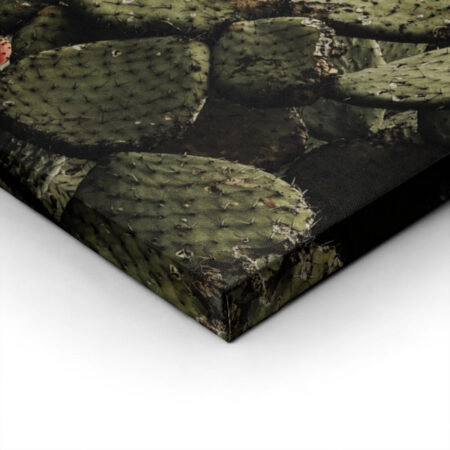 Πίνακας σε Καμβά RUSTIC FARMHOUSE CACTUS 2 -  Sticky 1