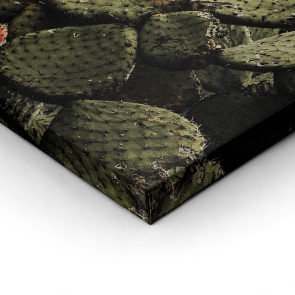 Πίνακας σε Καμβά RUSTIC FARMHOUSE CACTUS 2