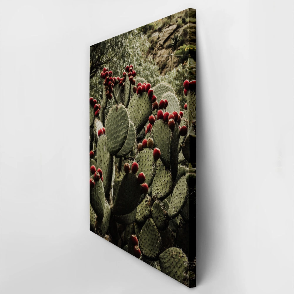 Πίνακας σε Καμβά RUSTIC FARMHOUSE CACTUS 2