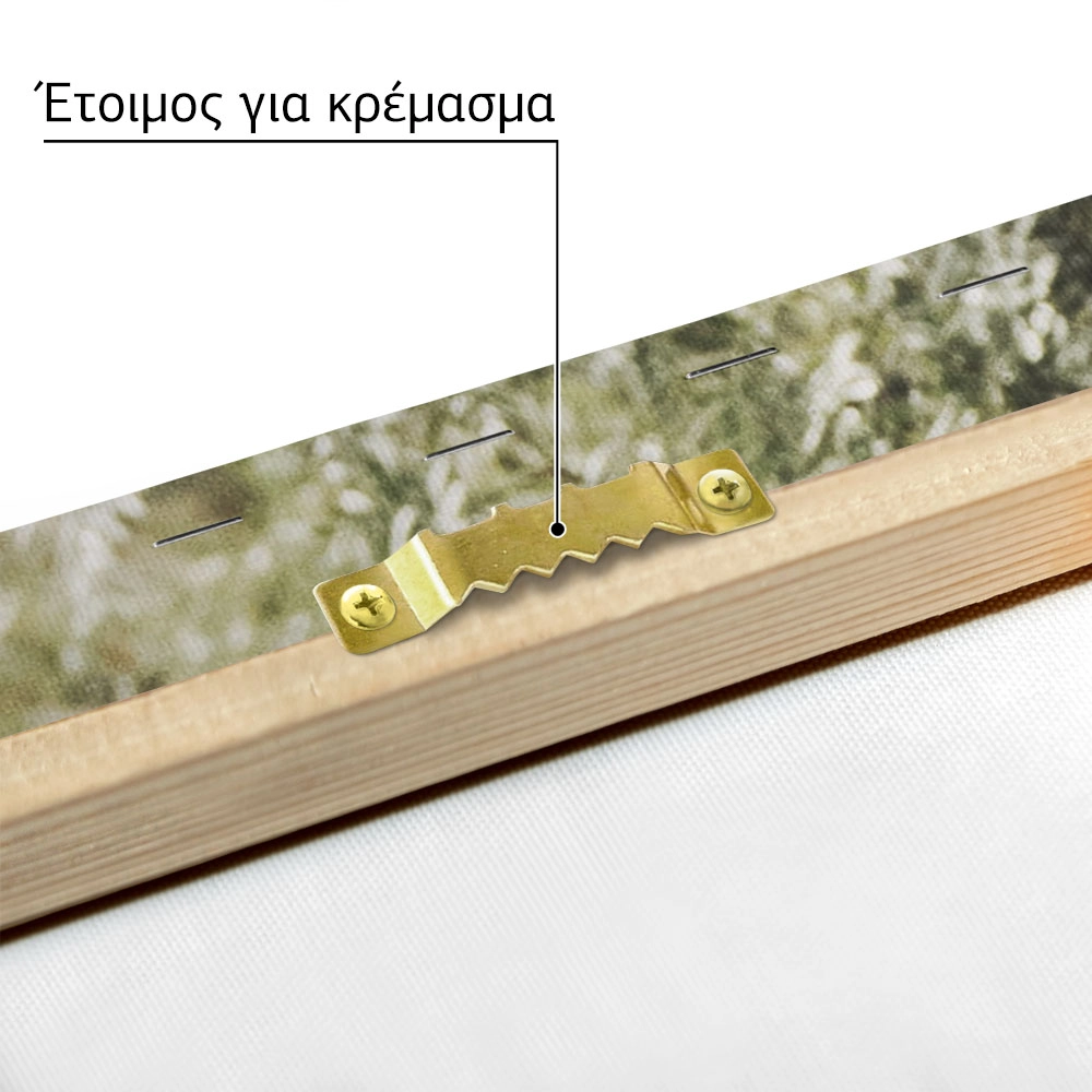 Πίνακας σε Καμβά RUSTIC FARMHOUSE CACTUS 2