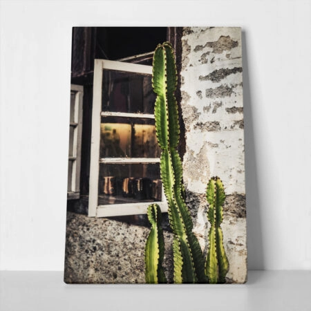 Πίνακας σε Καμβά RUSTIC FARMHOUSE CACTUS 3 - 