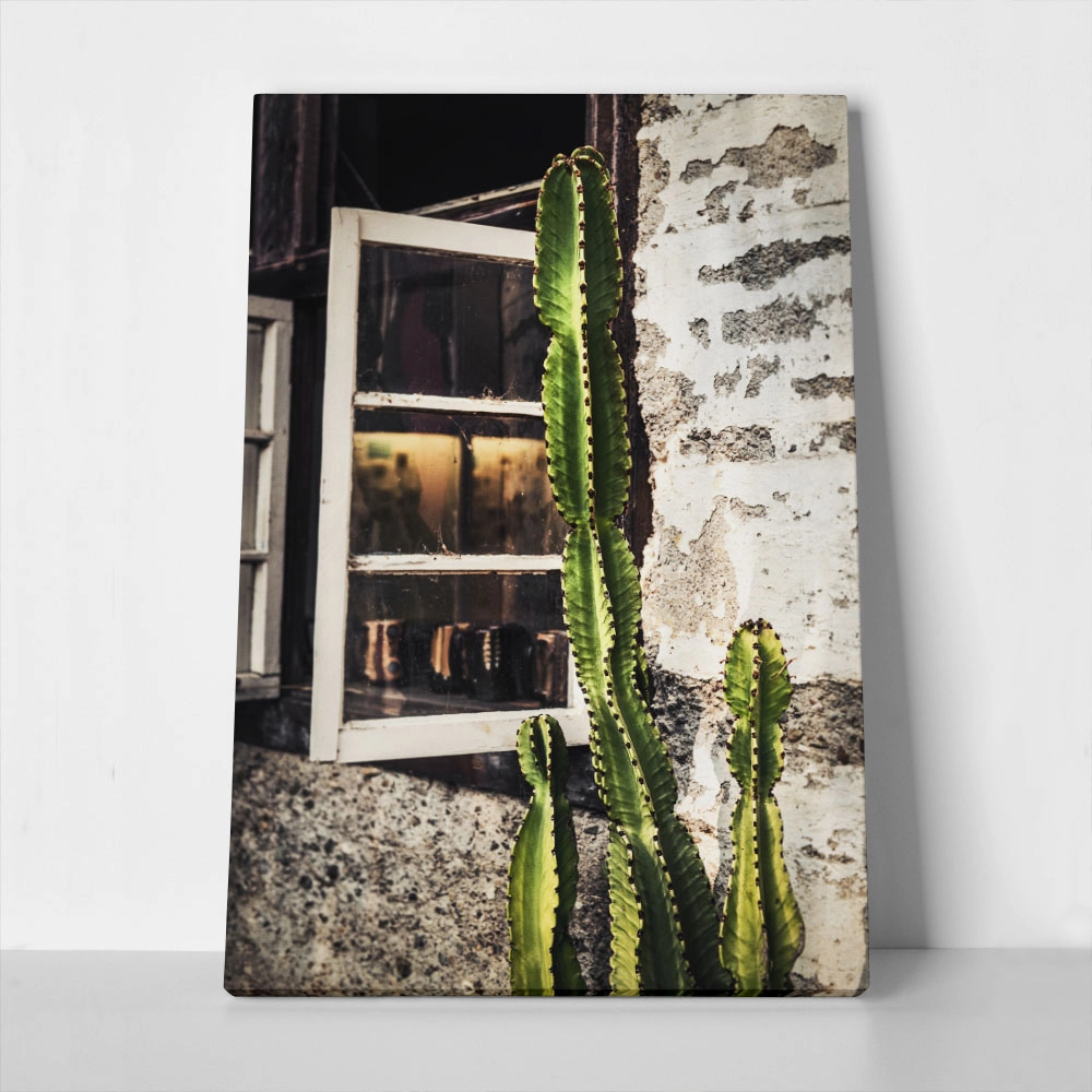 Πίνακας σε Καμβά RUSTIC FARMHOUSE CACTUS 3