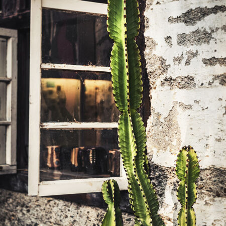 Πίνακας σε Καμβά RUSTIC FARMHOUSE CACTUS 3 -  Sticky 5