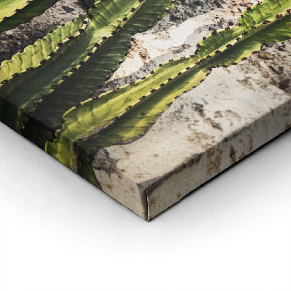 Πίνακας σε Καμβά RUSTIC FARMHOUSE CACTUS 3