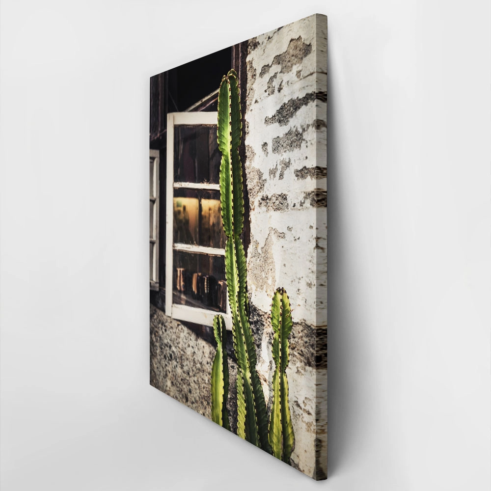 Πίνακας σε Καμβά RUSTIC FARMHOUSE CACTUS 3