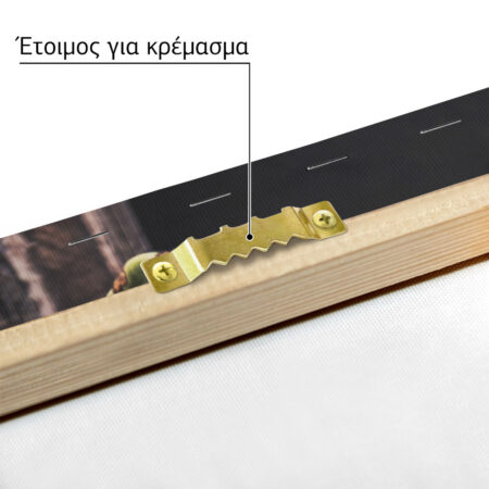 Πίνακας σε Καμβά RUSTIC FARMHOUSE CACTUS 3 -  Sticky 4