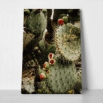 Πίνακας σε Καμβά RUSTIC FARMHOUSE CACTUS