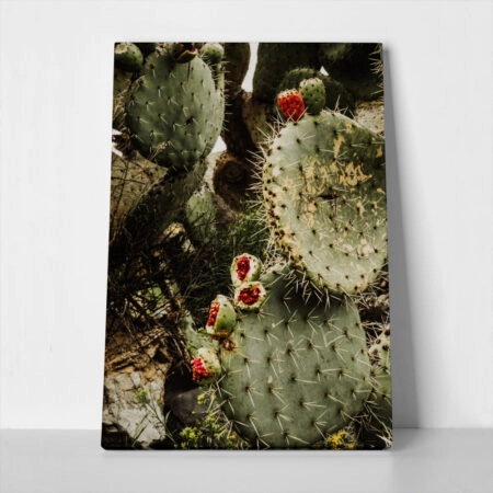 Πίνακας σε Καμβά RUSTIC FARMHOUSE CACTUS - 