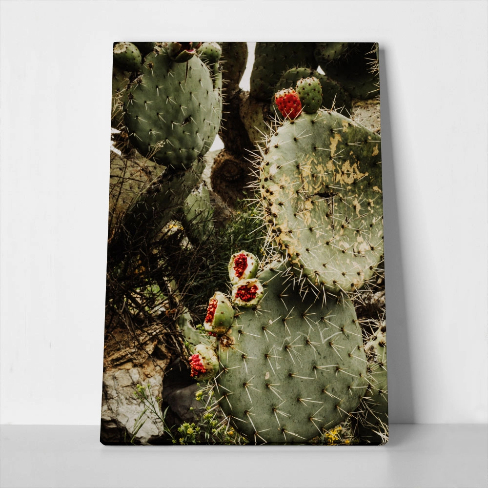 Πίνακας σε Καμβά RUSTIC FARMHOUSE CACTUS