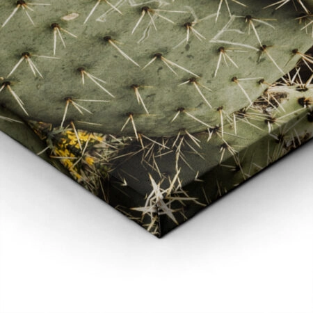 Πίνακας σε Καμβά RUSTIC FARMHOUSE CACTUS -  Sticky 1