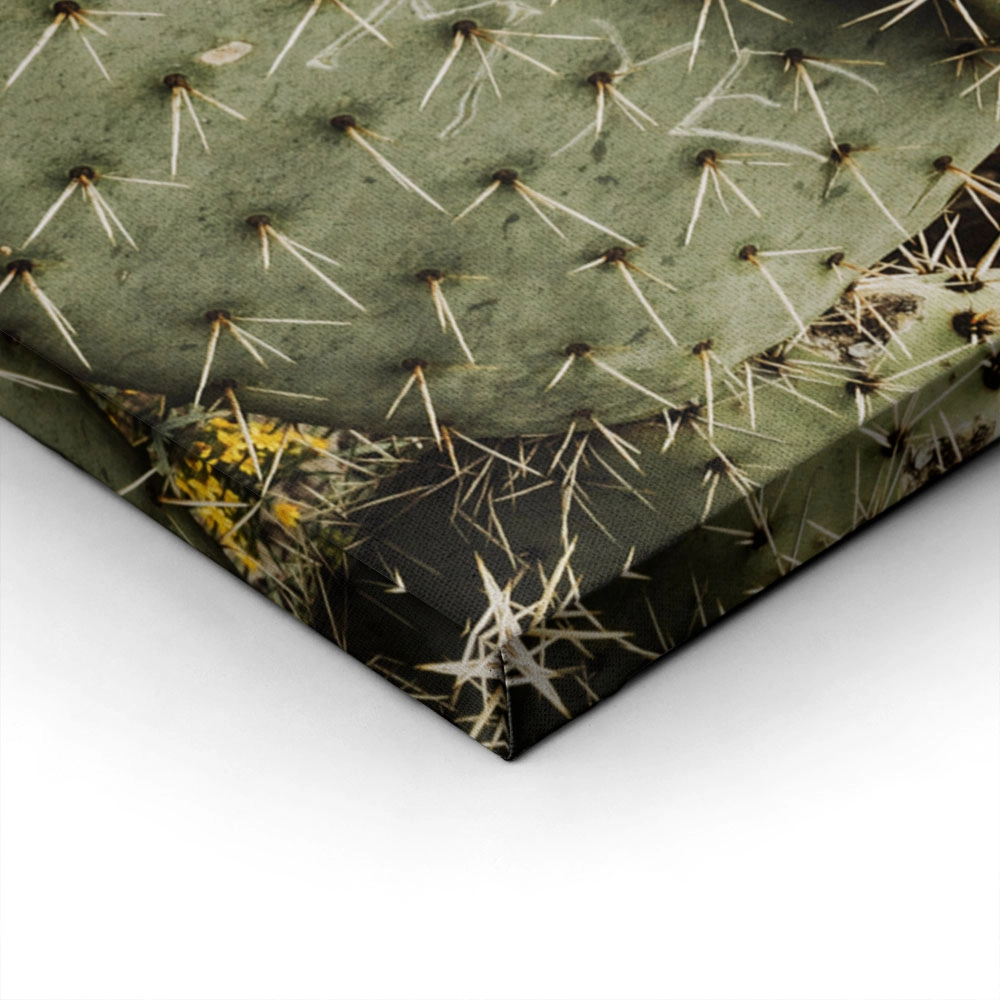 Πίνακας σε Καμβά RUSTIC FARMHOUSE CACTUS