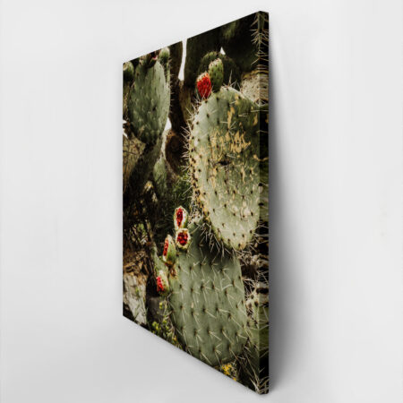 Πίνακας σε Καμβά RUSTIC FARMHOUSE CACTUS -  Sticky 2