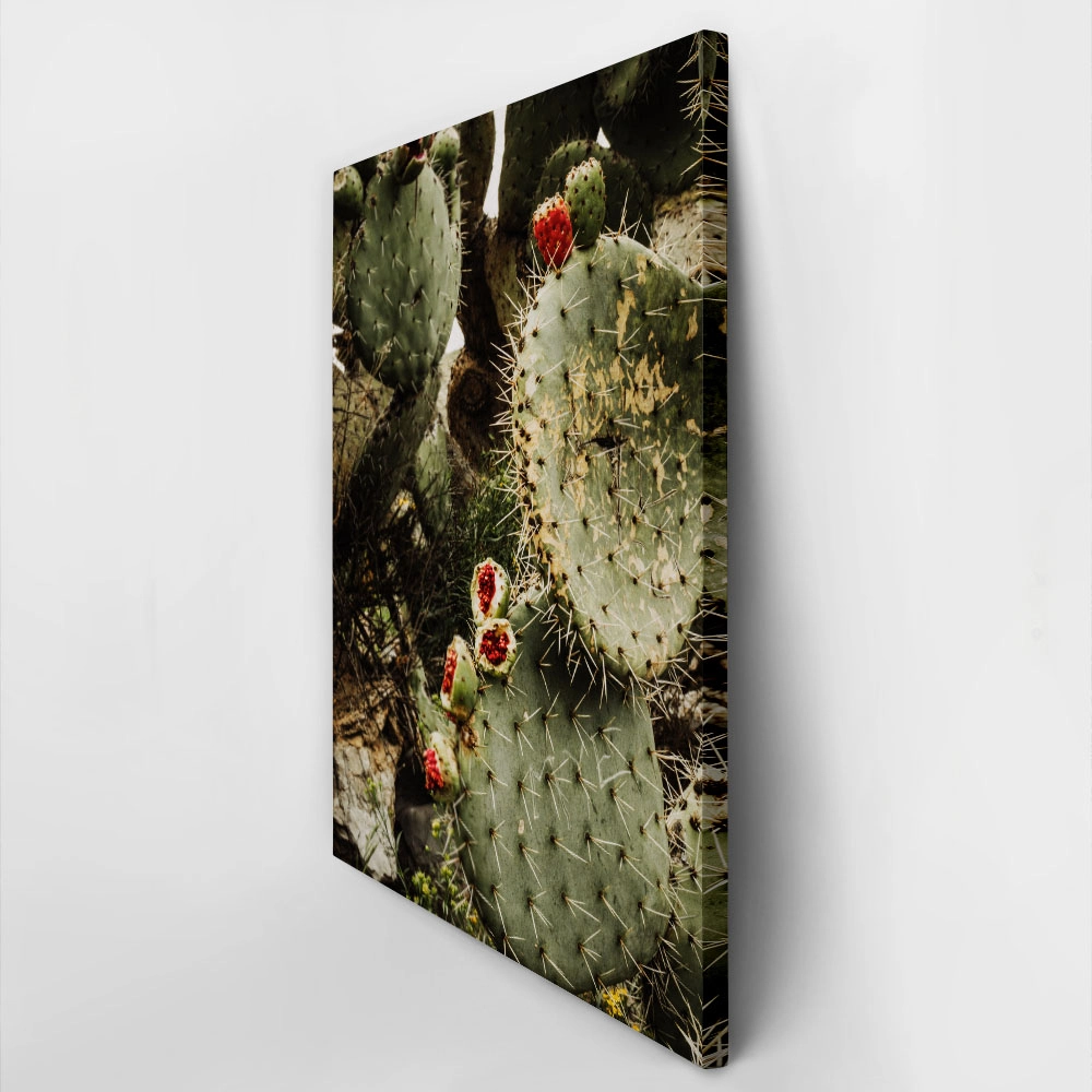 Πίνακας σε Καμβά RUSTIC FARMHOUSE CACTUS