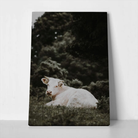 Πίνακας σε Καμβά RUSTIC FARMHOUSE CALF 2