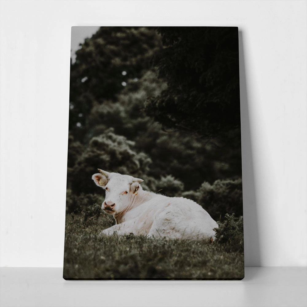 Πίνακας σε Καμβά RUSTIC FARMHOUSE CALF 2