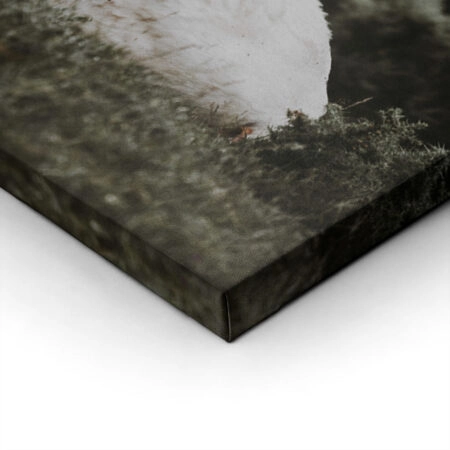 Πίνακας σε Καμβά RUSTIC FARMHOUSE CALF 2 - Sticky 1