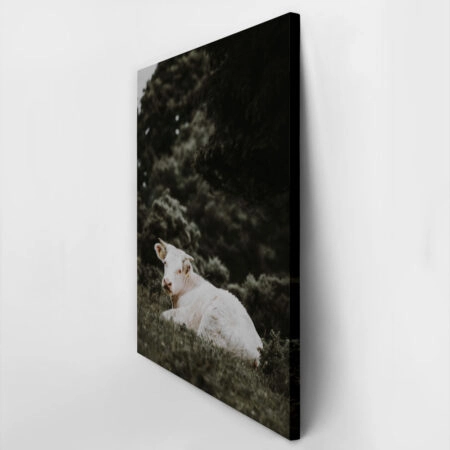 Πίνακας σε Καμβά RUSTIC FARMHOUSE CALF 2 -  Sticky 2