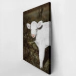 Πίνακας σε Καμβά RUSTIC FARMHOUSE CALF 3