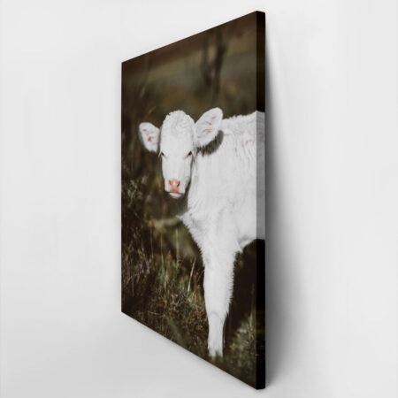 Πίνακας σε Καμβά RUSTIC FARMHOUSE CALF 3 -  Sticky 2