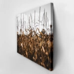 Πίνακας σε Καμβά RUSTIC FARMHOUSE CORN FIELD