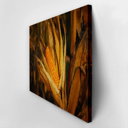 Πίνακας σε Καμβά RUSTIC FARMHOUSE CORN -  Sticky 2