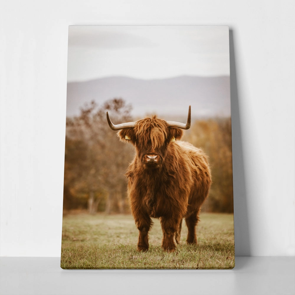 Πίνακας σε Καμβά RUSTIC FARMHOUSE COW 11