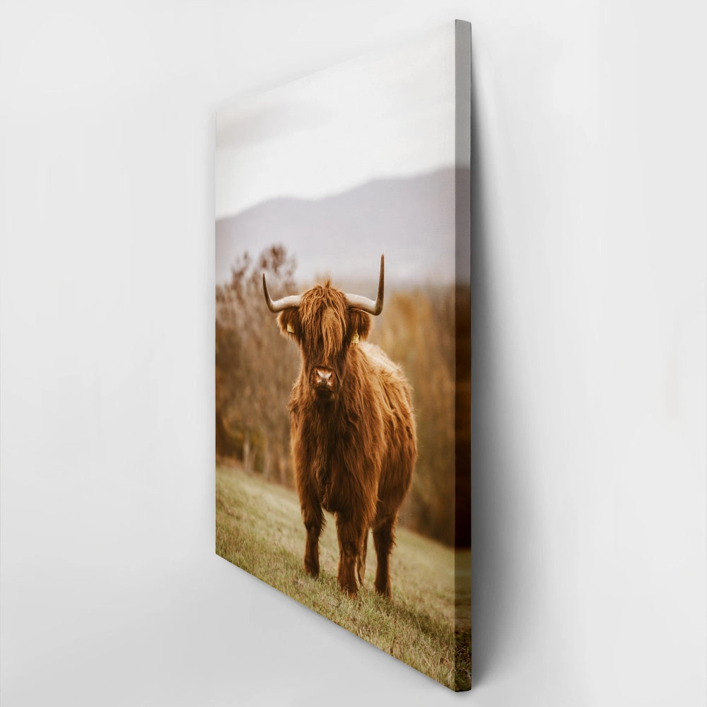 Πίνακας σε Καμβά RUSTIC FARMHOUSE COW 11