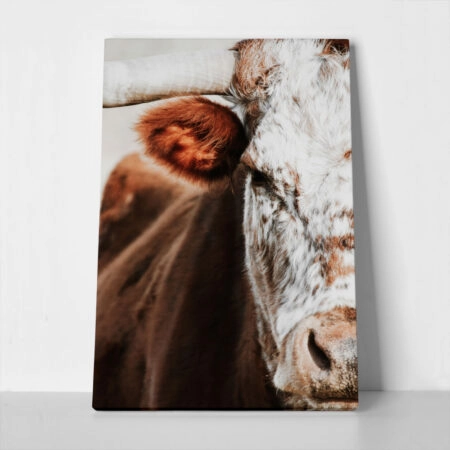 Πίνακας σε Καμβά RUSTIC FARMHOUSE COW 13 - 