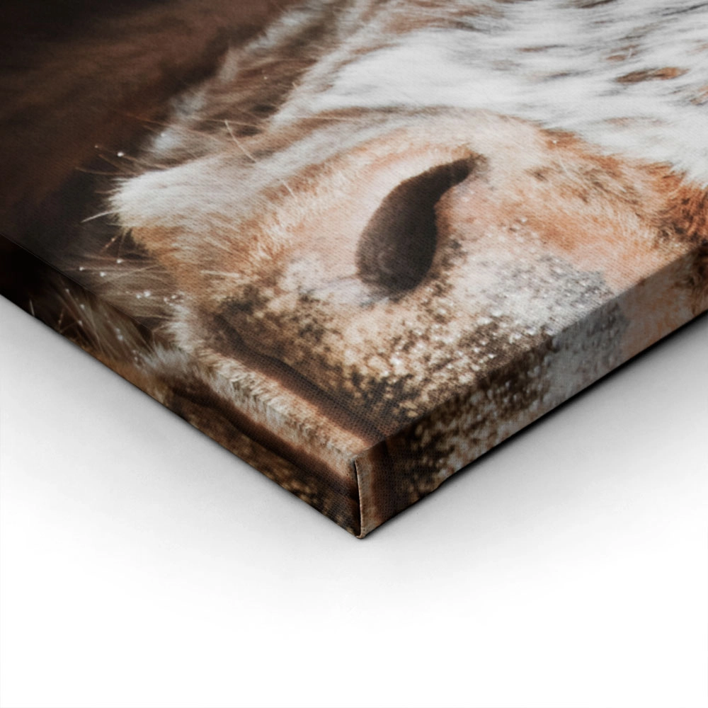 Πίνακας σε Καμβά RUSTIC FARMHOUSE COW 13