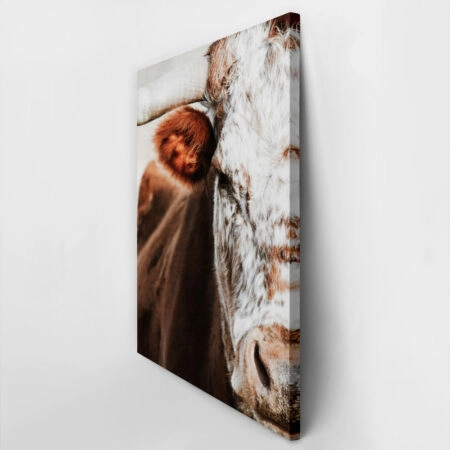 Πίνακας σε Καμβά RUSTIC FARMHOUSE COW 13 -  Sticky 2