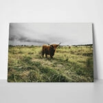 Πίνακας σε Καμβά RUSTIC FARMHOUSE COW 14