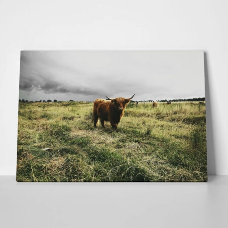 Πίνακας σε Καμβά RUSTIC FARMHOUSE COW 14