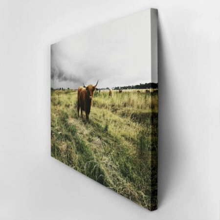 Πίνακας σε Καμβά RUSTIC FARMHOUSE COW 14 -  Sticky 2
