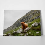 Πίνακας σε Καμβά RUSTIC FARMHOUSE COW 15