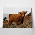 Πίνακας σε Καμβά RUSTIC FARMHOUSE COW 16