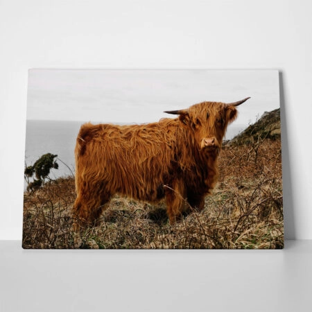 Πίνακας σε Καμβά RUSTIC FARMHOUSE COW 16