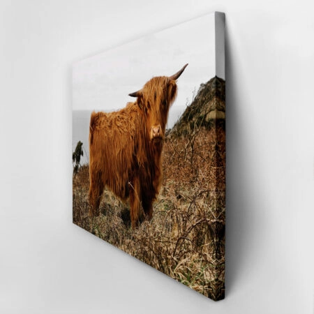 Πίνακας σε Καμβά RUSTIC FARMHOUSE COW 16 -  Sticky 2