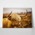 Πίνακας σε Καμβά RUSTIC FARMHOUSE COW 17
