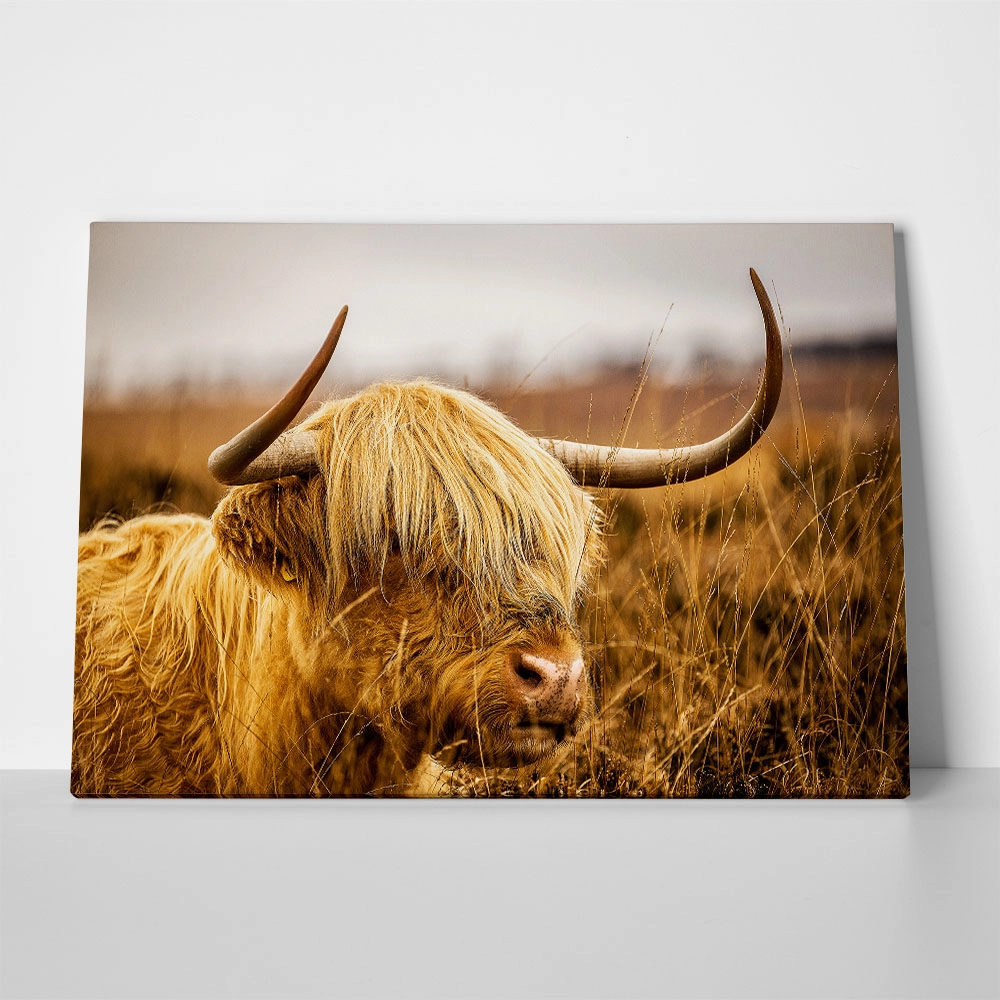 Πίνακας σε Καμβά RUSTIC FARMHOUSE COW 17