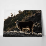 Πίνακας σε Καμβά RUSTIC FARMHOUSE COW 18