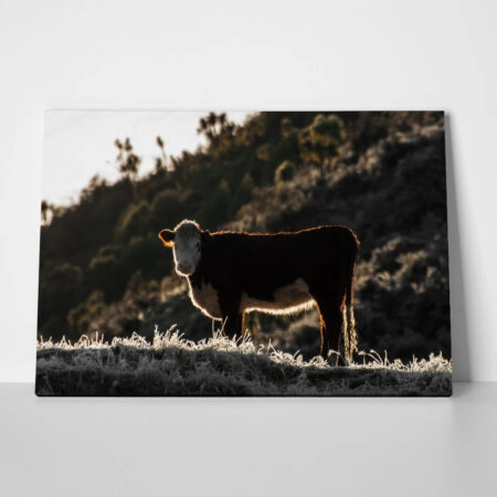 Πίνακας σε Καμβά RUSTIC FARMHOUSE COW 18 - 