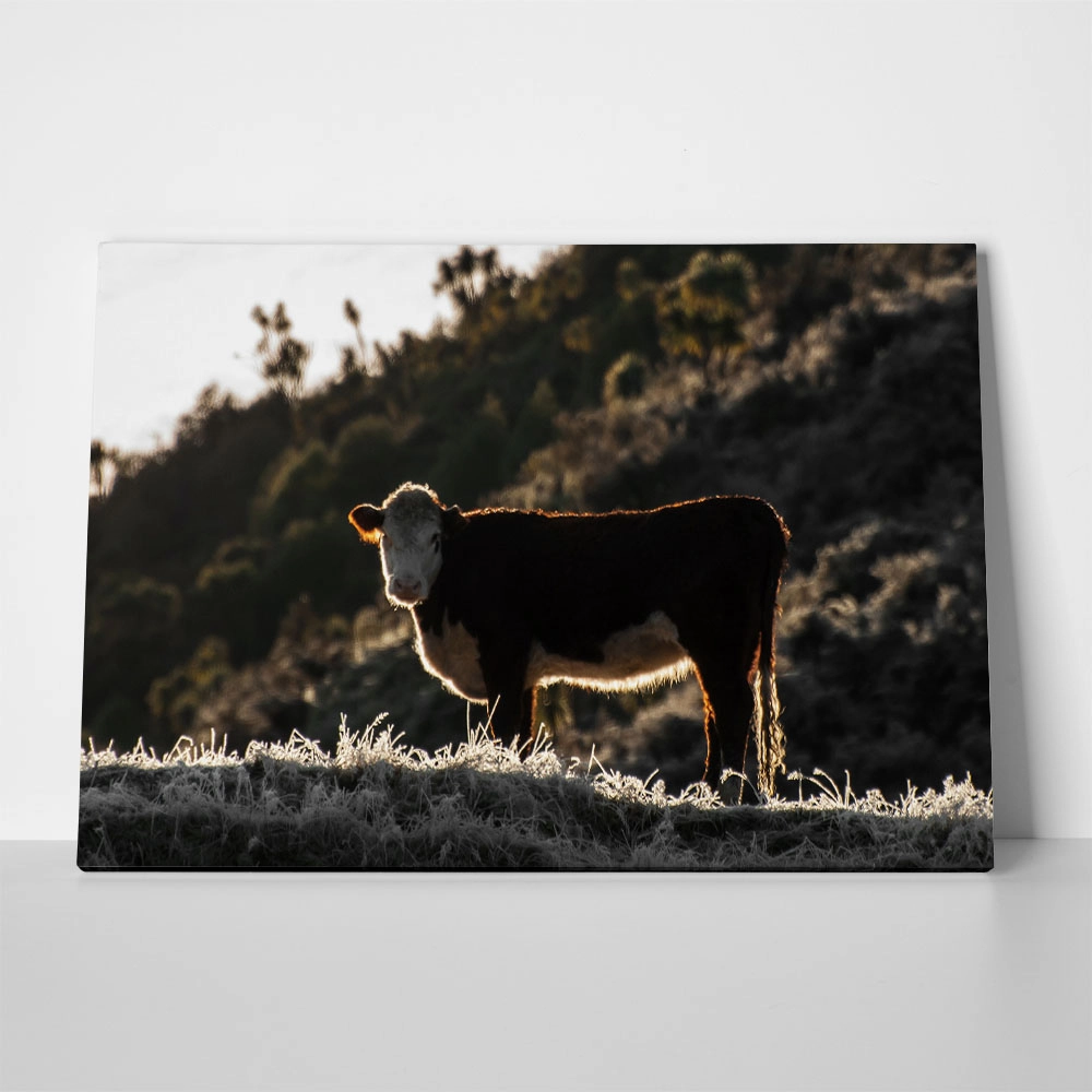 Πίνακας σε Καμβά RUSTIC FARMHOUSE COW 18