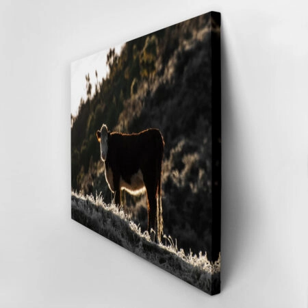Πίνακας σε Καμβά RUSTIC FARMHOUSE COW 18 -  Sticky 2