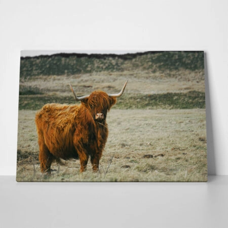 Πίνακας σε Καμβά RUSTIC FARMHOUSE COW 19 - 