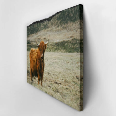 Πίνακας σε Καμβά RUSTIC FARMHOUSE COW 19 -  Sticky 2