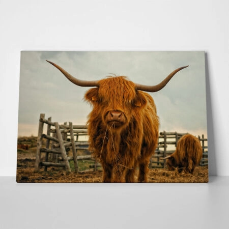 Πίνακας σε Καμβά RUSTIC FARMHOUSE COW 20 - 