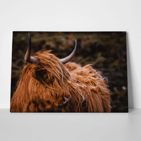 Πίνακας σε Καμβά RUSTIC FARMHOUSE COW 21 - 